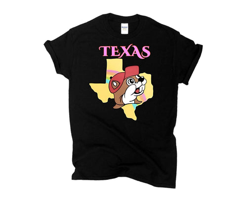 Texas shirt / kids / Adult / matching